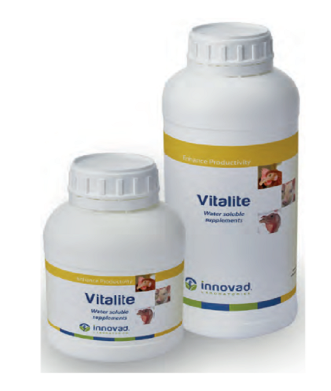 Vitalite Tonic - Tăng cường hệ miễn dịch, giải độc gan thận